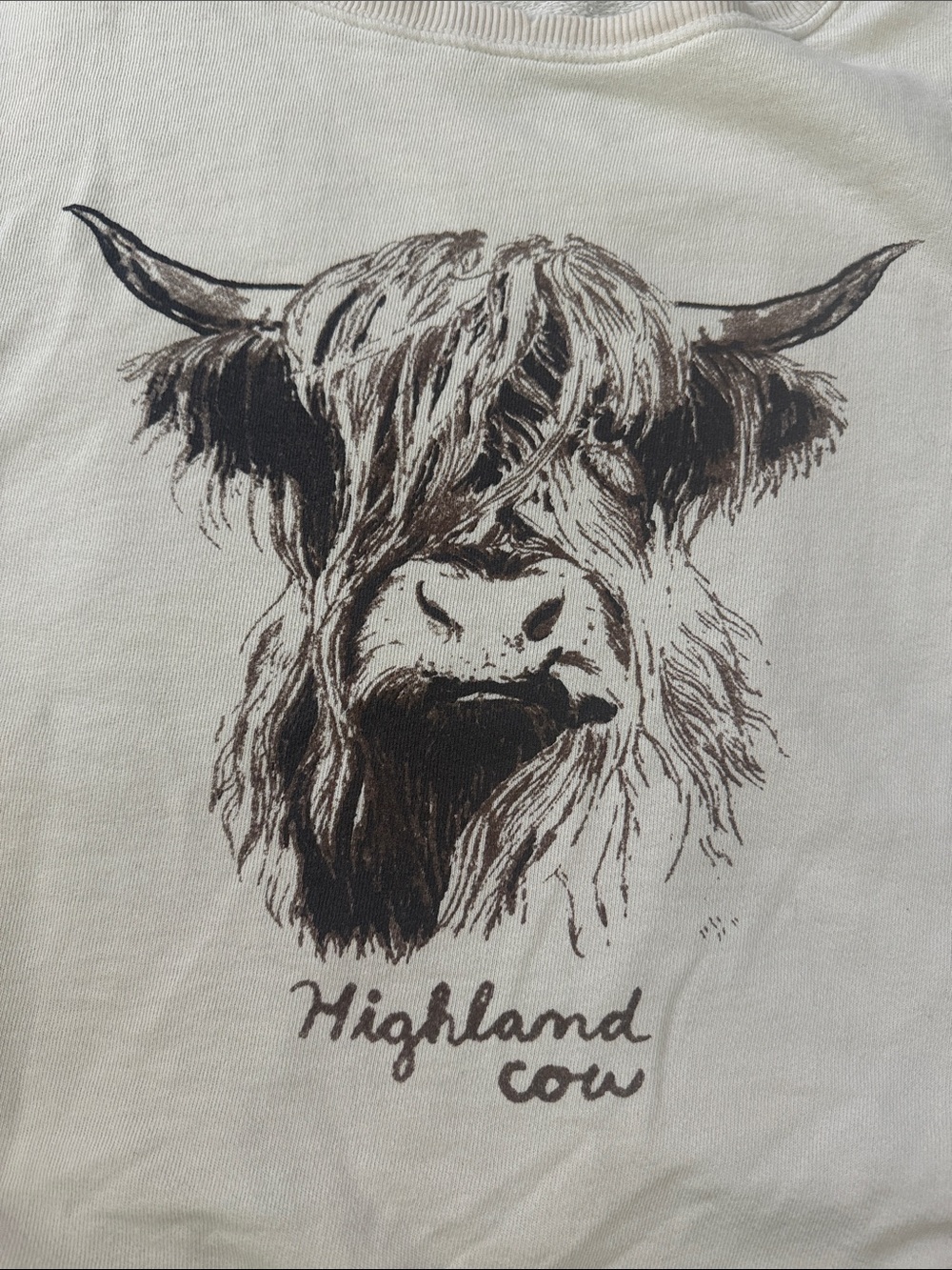 Free People Camden Graphic Highland Cow Oversized Pullover Sweatshirt size S